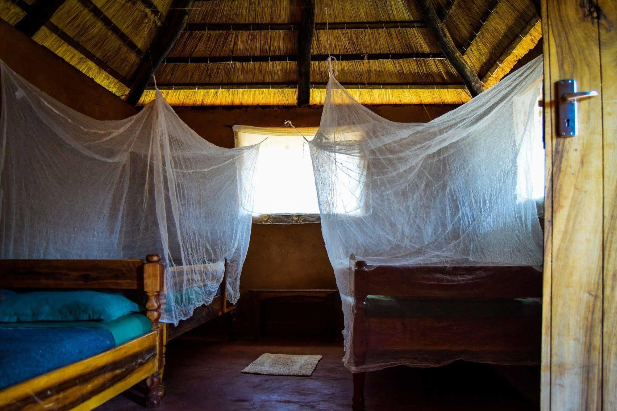 Hotel Zinga Backpackers Livingstone Exteriér fotografie